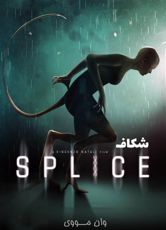 شکاف Splice